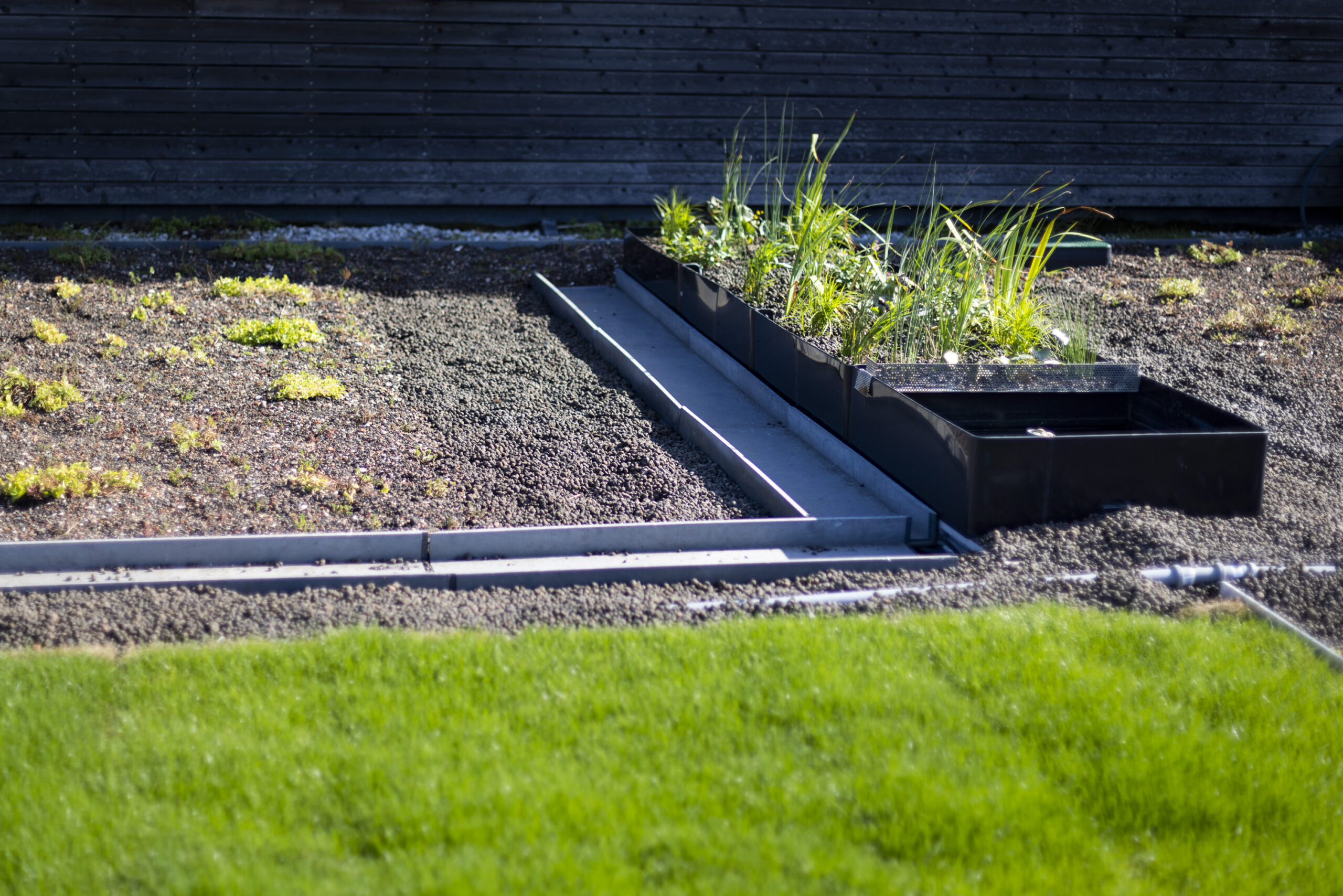 Hybrid green roof system at UCEEB CTU